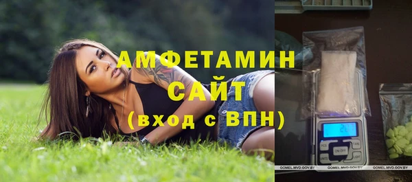 молекула духа Бронницы