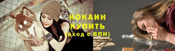 молекула духа Бронницы