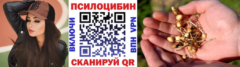 KRAKEN как войти  Луховицы  Галлюциногенные грибы ЛСД  закладка 